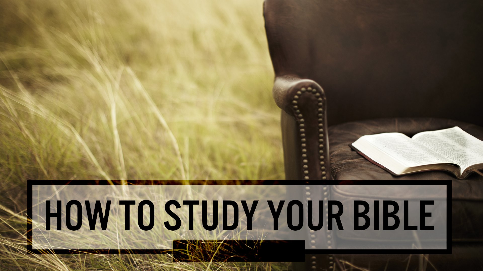 How To Study Your Bible